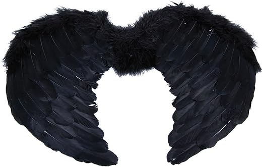 NEW Black Feather Angel Wings Halloween Costume