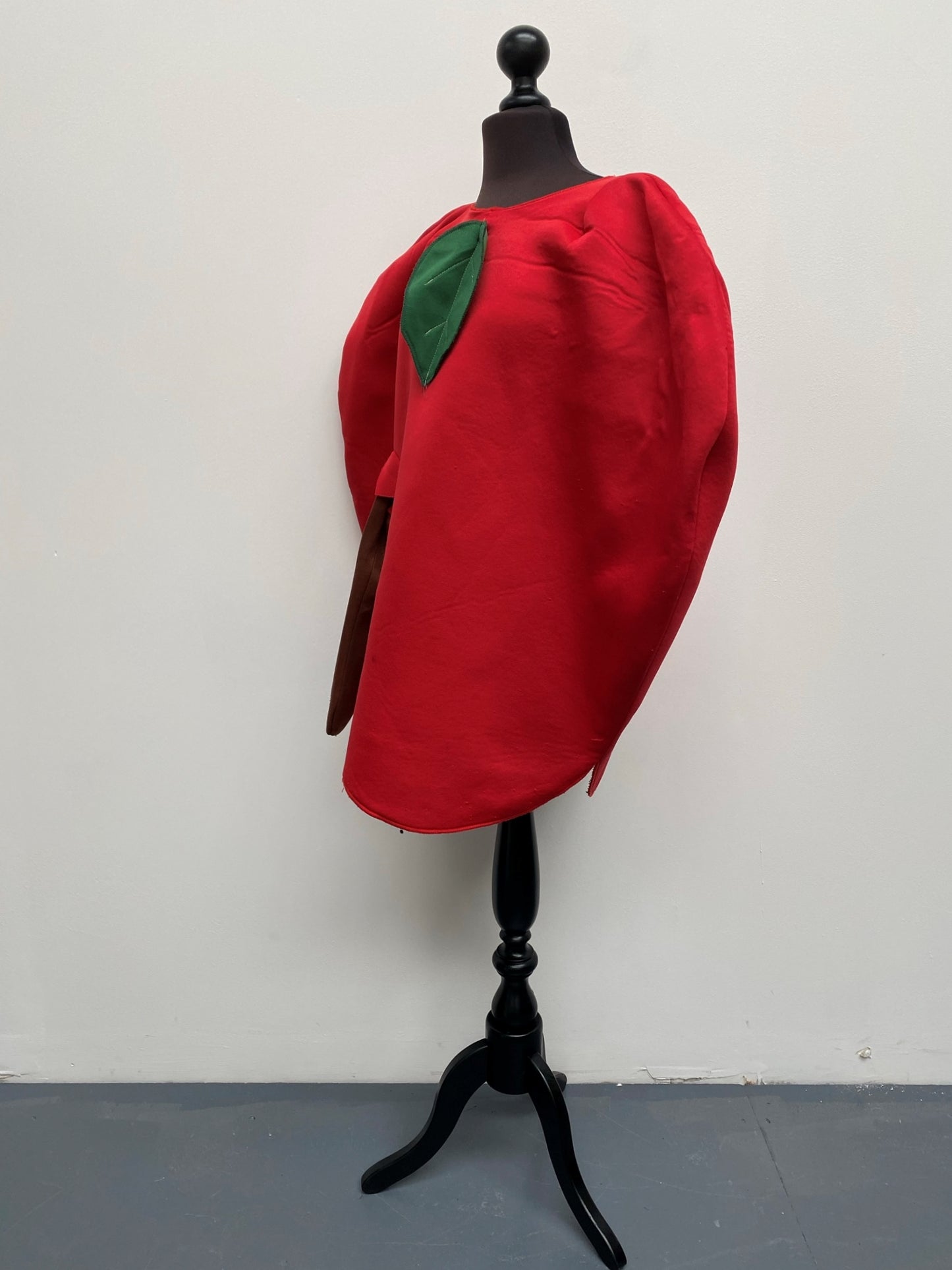 Red Apple Costume - Ex Hire Fancy Dress Costume WORLD BOOK DAY